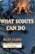 What Scouts Can Do